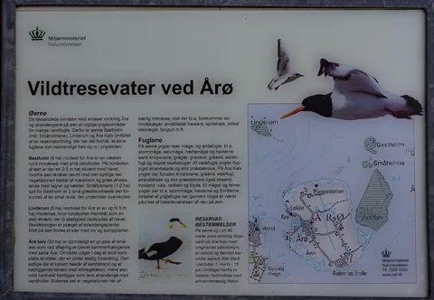 Årø