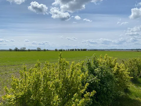 Årø Vingård