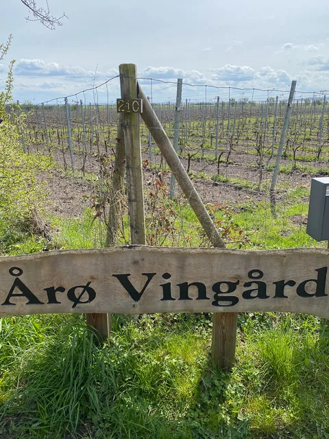 Årø Vingård