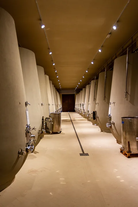 Poderi Luigi Einaudi, Piemonte, Italien