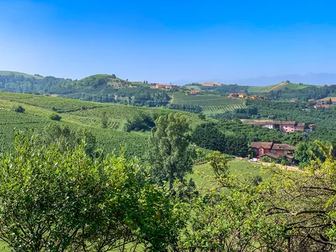 Poderi Luigi Einaudi, Piemonte, Italien