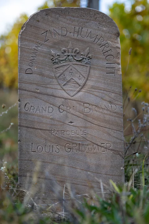 Vandretur på Grand Cru Brand, vejret er ikke helt oppe og ringe, men der er stadig smukt. En af Zind Humrechts parceller på Brand.
