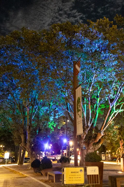 Turckheim by night