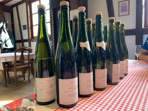 Vinsmagning hos Domaine Schoffit i Colmar, en af de absolutte topproducenter i Alsace.