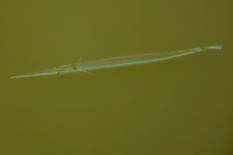 CR6_5713